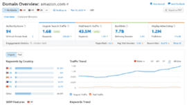 Screenshot of a report titled 'Domain Overview' within Semrush