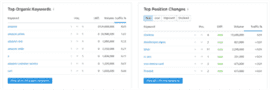 Screenshot of two lists, one titled 'Top Organic Keywords' and on titled 'Top Position Changes