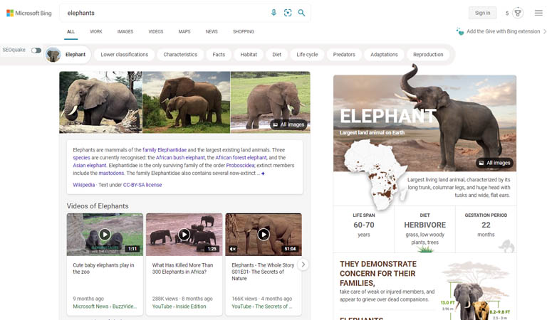 Screenshot of Bing search results for the query 'elephants,' with multiple photos and videos prominently featured.