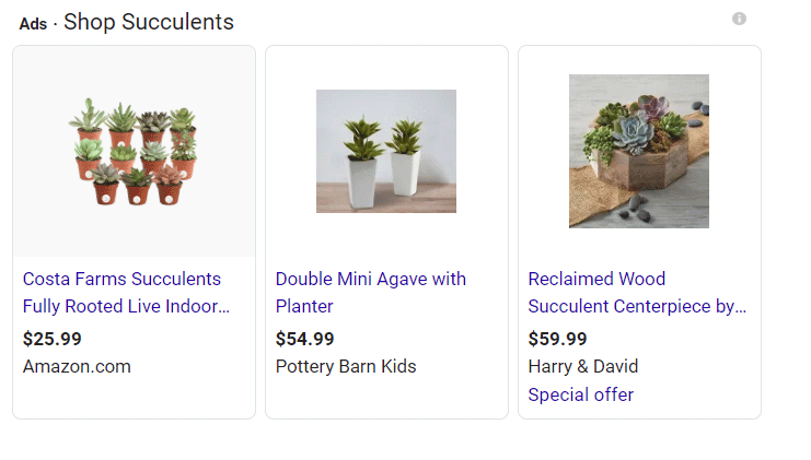 Screenshot of an example of the shopping pack for the query "succulents".